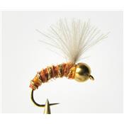 Nymphe casque d'or orange