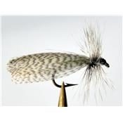 Sedge canard gris