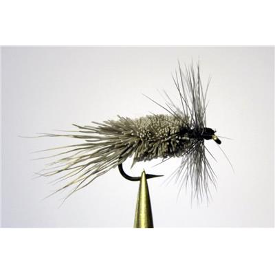 Sedge chevreuil gris